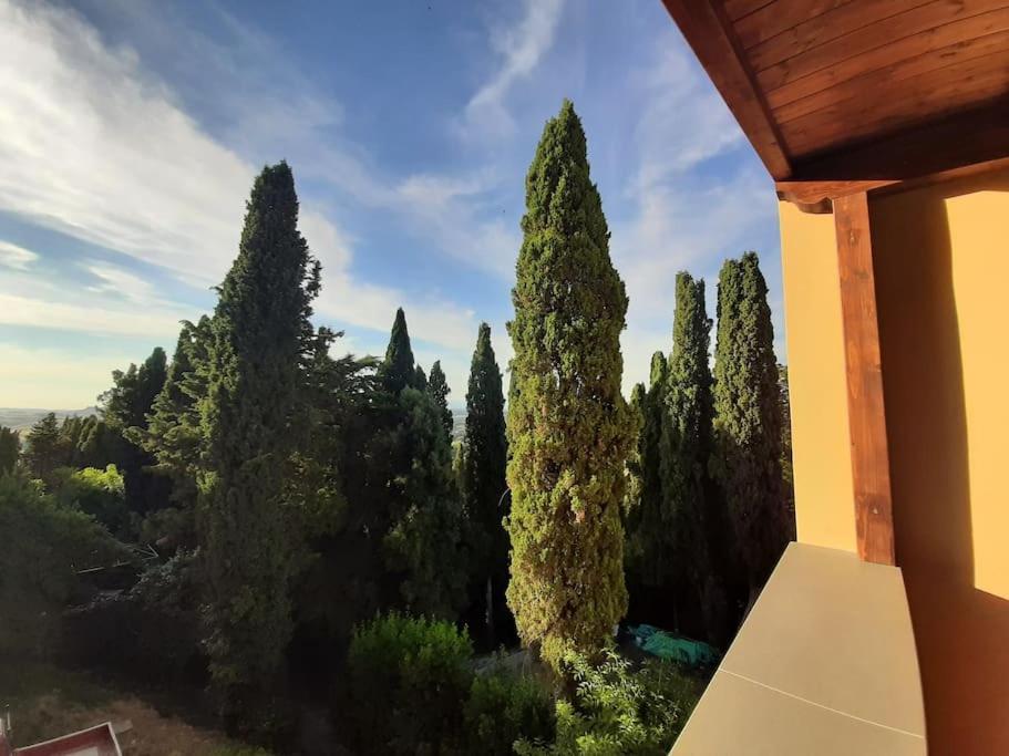 Lajatico Rentals - Terrazza Sul Tramonto Del Silenzio Экстерьер фото